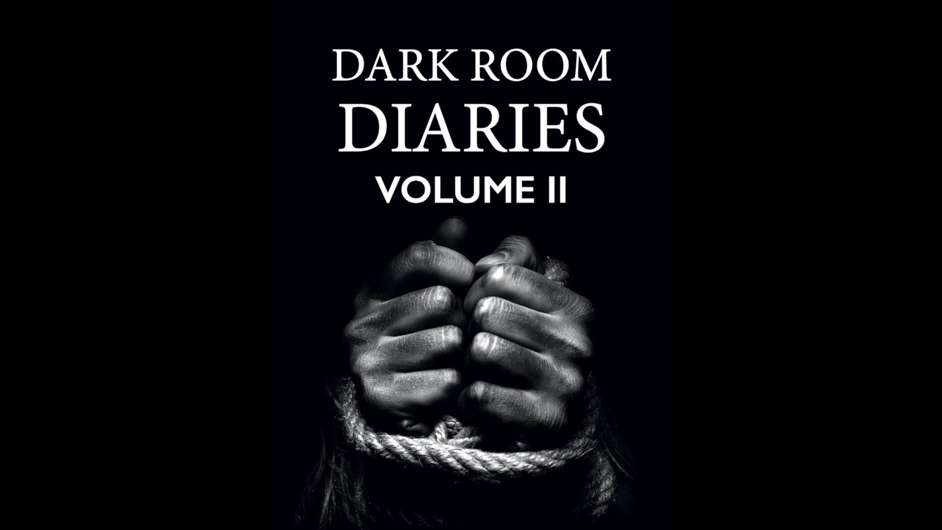 Dark Room Diaries: Volume 2 poster